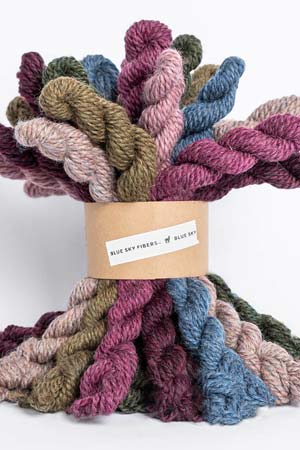 Blue Sky Fibers | Woolstok Bundle Kit  | Bramble And Fig