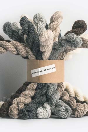 Blue Sky Fibers | Woolstok Bundle Kit  | Neutral