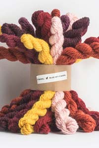 Blue Sky Fibers Woolstok Bundle Kits at Fabulous Yarn