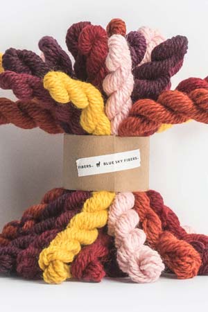 Blue Sky Fibers | Woolstok Bundle Kit  | Warm