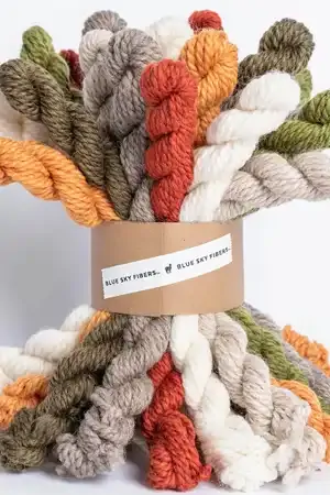 Blue Sky Fibers | Woolstok 21 Skein Bundle Kit  | Fall Festival