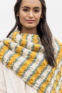 Blue Sky Fibers Knitkit