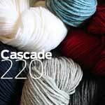 Cascade 220 worsted