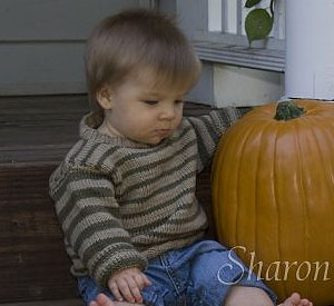 Blue Sky Cotton Little Boys Sweater