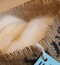 Blue Sky Handspin Roving