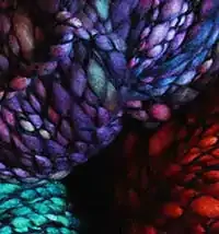 malabrigo caracol