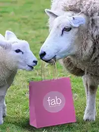 Rhinebeck SHEEP AND WOOL goody bag