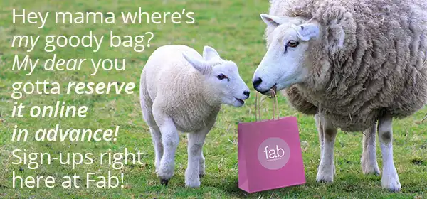 NY sheep and wool festival fab yarn special events