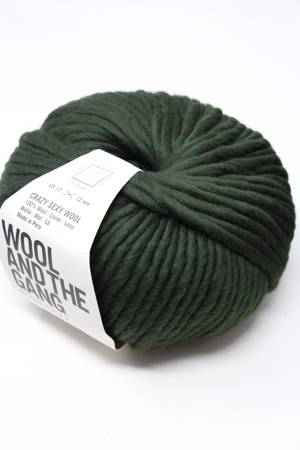 Wool & The Gang Crazy Sexy Wool in Heritage Green