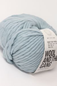 Wool and the Gang Crazy Sexy Wool